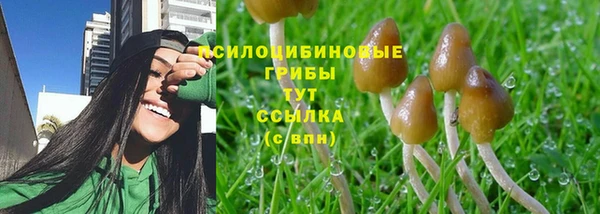 не бодяженный Алзамай